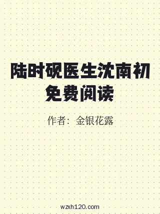 陆时砚医生沈南初免费阅读