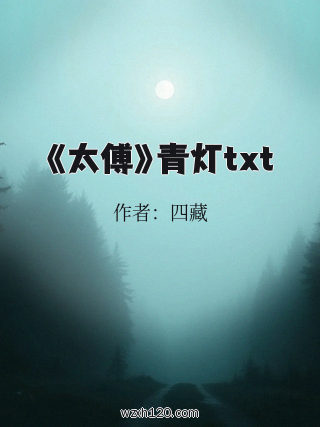 《太傅》青灯txt