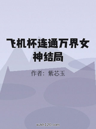 飞机杯连通万界女神结局