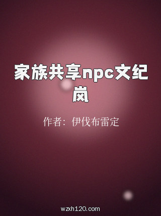 家族共享npc文纪岚