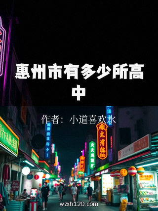 惠州市有多少所高中