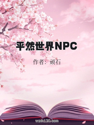 平然世界NPC