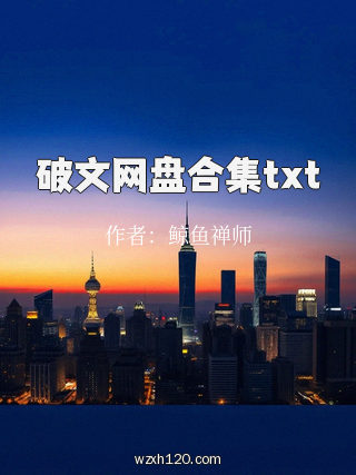 破文网盘合集txt