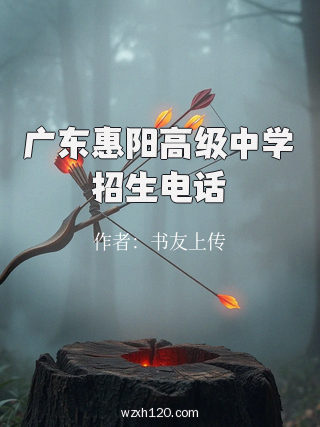 广东惠阳高级中学招生电话