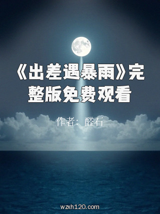 《出差遇暴雨》完整版免费观看