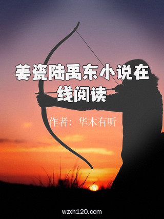 姜瓷陆禹东小说在线阅读