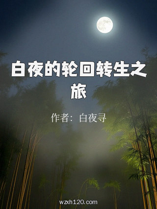 白夜的轮回转生之旅