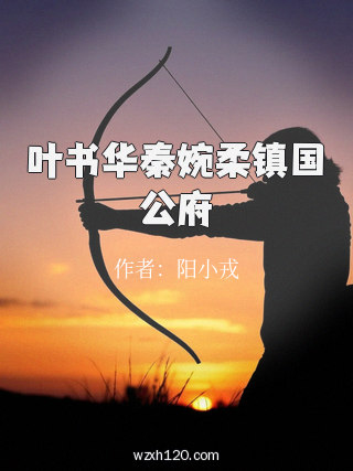 叶书华秦婉柔镇国公府