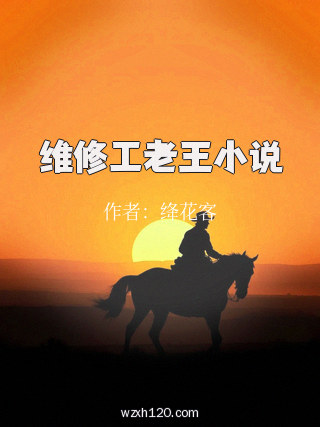 维修工老王小说