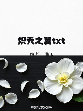 炽天之翼txt