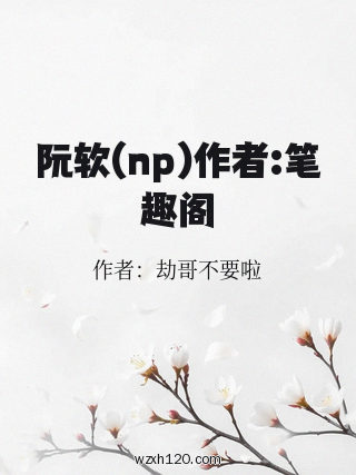 阮软(np)作者:笔趣阁
