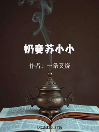 奶妾苏小小