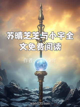 苏晴芝芝与小宇全文免费阅读