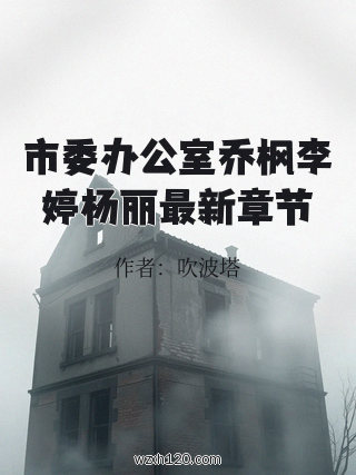 市委办公室乔枫李婷杨丽最新章节