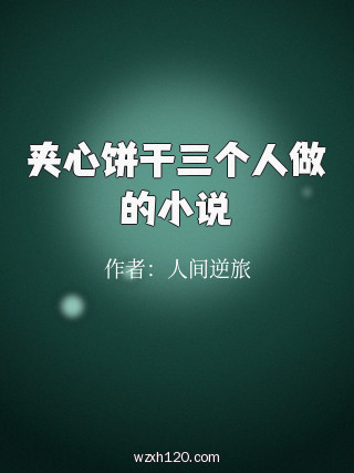 夹心饼干三个人做的小说