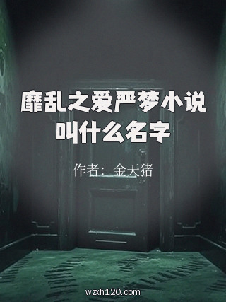靡乱之爱严梦小说叫什么名字