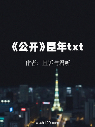 《公开》臣年txt