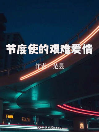 节度使的艰难爱情