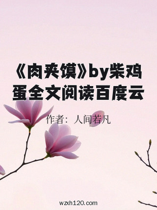 《肉夹馍》by柴鸡蛋全文阅读百度云