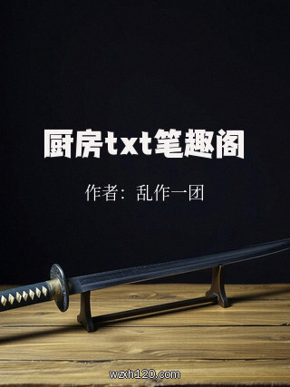 厨房txt笔趣阁