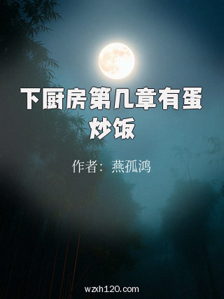 下厨房第几章有蛋炒饭