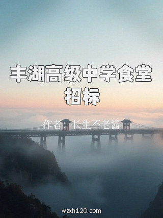 丰湖高级中学食堂招标