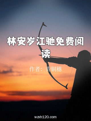 林安岁江驰免费阅读