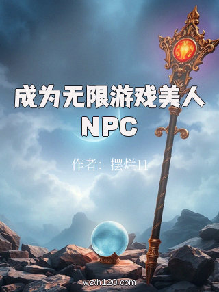 成为无限游戏美人NPC