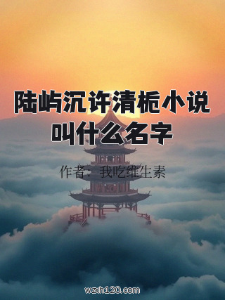 陆屿沉许清栀小说叫什么名字