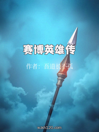 赛博英雄传