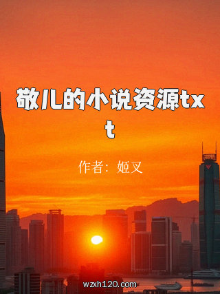 敬儿的小说资源txt