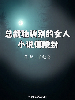 总裁驰骋别的女人小说傅陵封