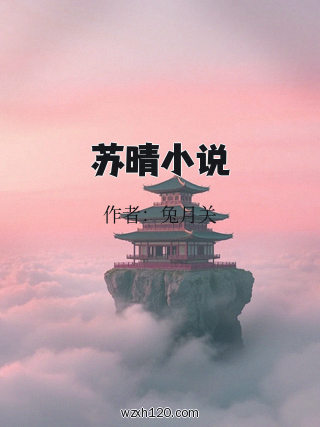 苏晴小说