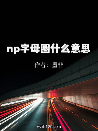 np字母圈什么意思