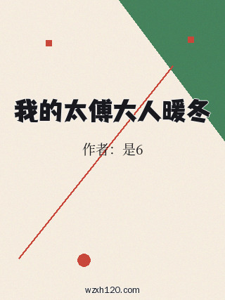 我的太傅大人暖冬