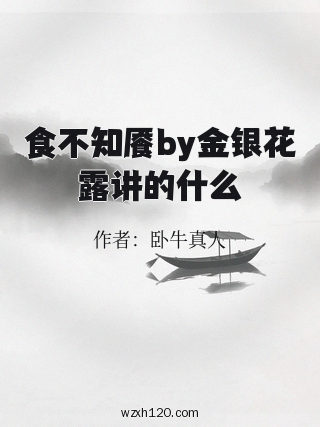 食不知餍by金银花露讲的什么