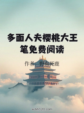 多面人夫樱桃大王笔免费阅读