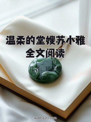 温柔的堂嫂苏小雅全文阅读