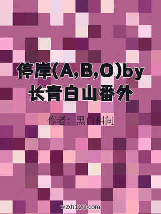 停岸(A,B,O)by长青白山番外