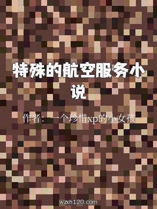 特殊的航空服务小说