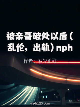 被亲哥破处以后(乱伦,出轨)nph