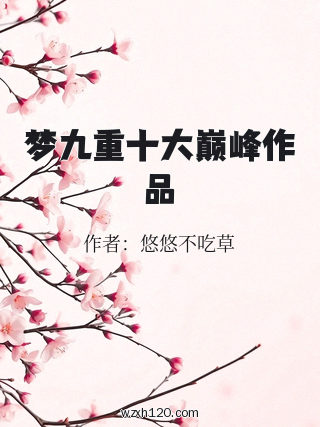 梦九重十大巅峰作品