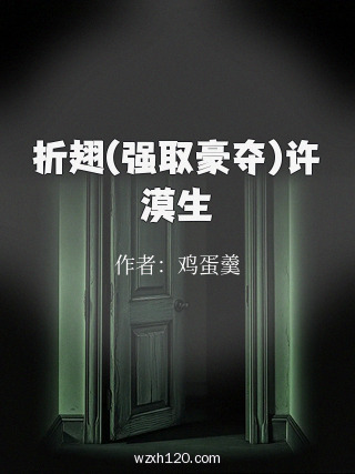 折翅(强取豪夺)许漠生