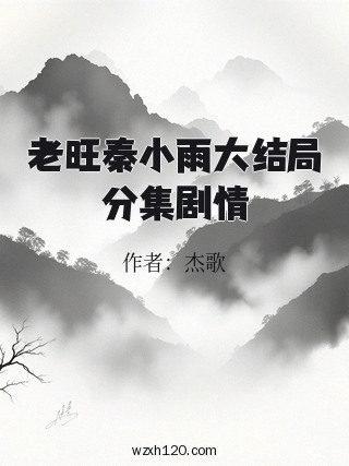 老旺秦小雨大结局分集剧情