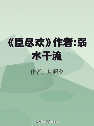《臣尽欢》作者:弱水千流