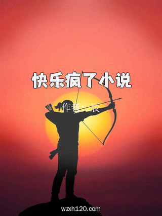 快乐疯了小说