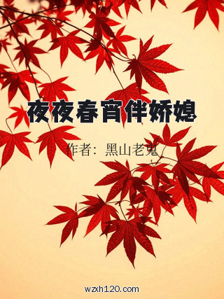 夜夜春宵伴娇媳