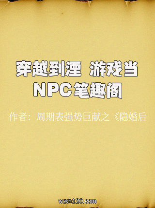穿越到湮婸游戏当NPC笔趣阁