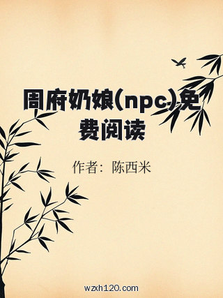 周府奶娘(npc)免费阅读