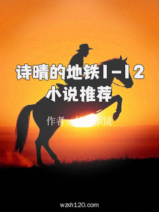 诗晴的地铁1-12小说推荐
